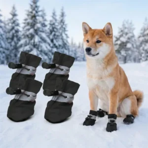 Paw Protectors