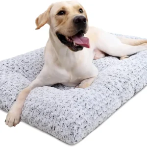 Dog Bed Deluxe