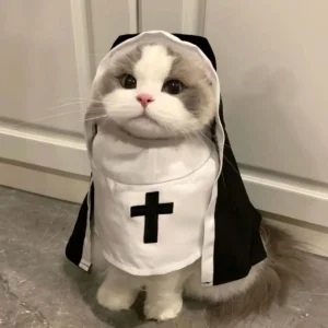 Costume Pet