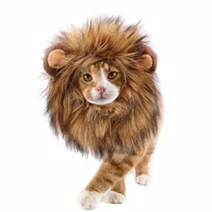 Lion Mane Cats and Dogs
