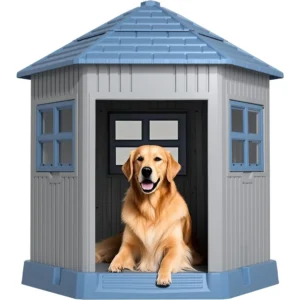 Doghouse Indoor Outdoor